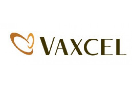 Vaxcel International Lighting